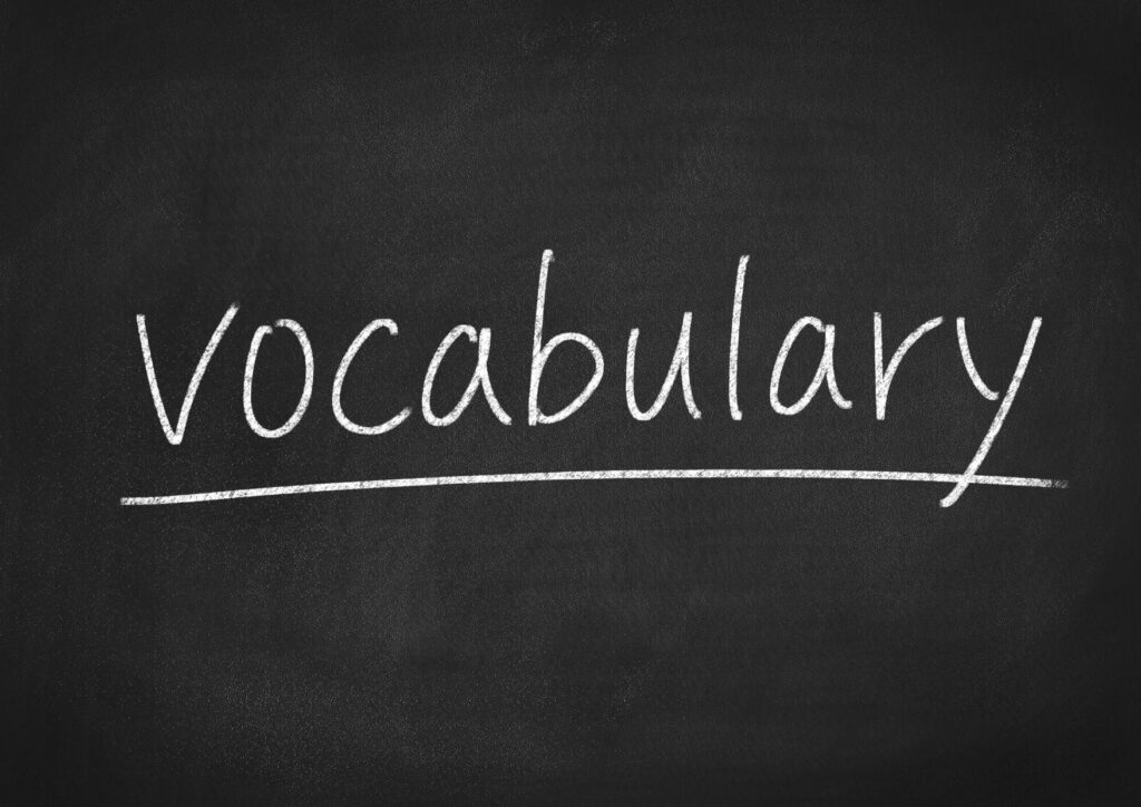 The word "vocabulary" written in white on chalk board